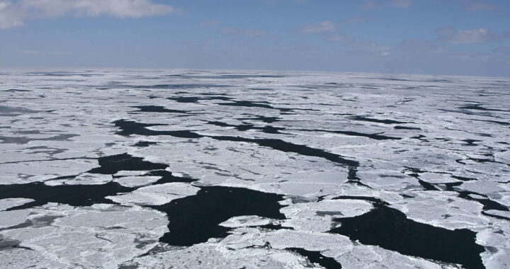 Canada introduces new measures to protect Arctic ecosystems